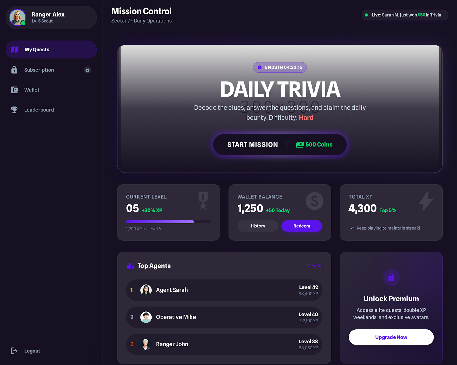 3. User Game Panel Dashboard